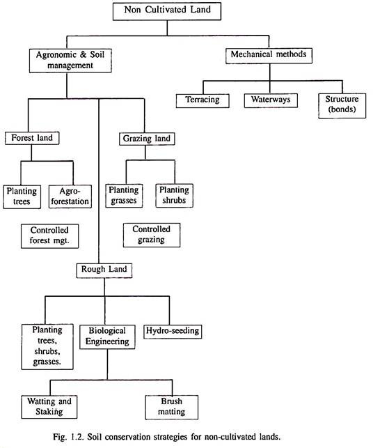 Essay On Obedience To Orders