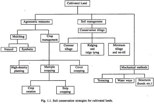 Soil Conversion Chart