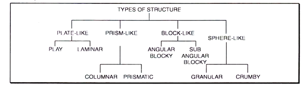 Types of Structure