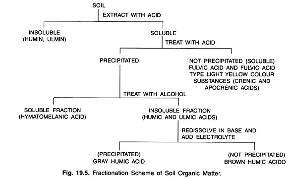 Fractionation Scheme of Soil Organic Matter