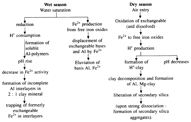 Wet and Dry Season