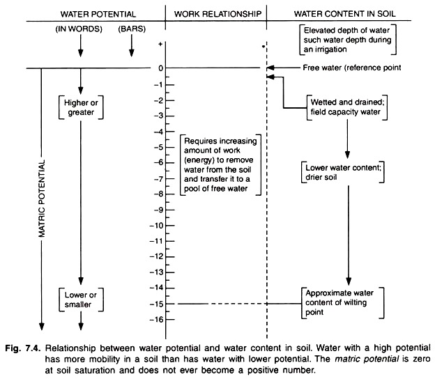 Relationship between Water Potential and Water Content in Soil