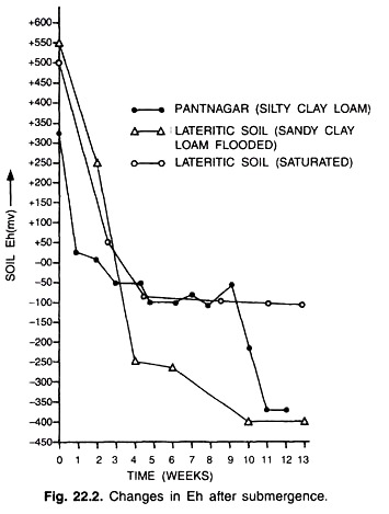 Changes in Eh after Submergence