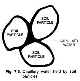 Capillary Water Held by Soil Particles