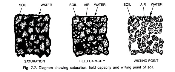 Diagram Showing Saturation, Field Capacity and Witing Point of Soil