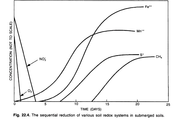 The Sequential Reduction of Various Soil Redox Systems in Submerged Soils