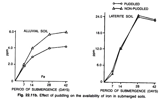Effect of Pudding on the Availability of Iron in Submerged Soils