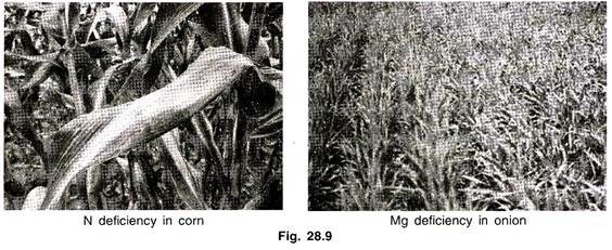 Runoff and Soil Loss