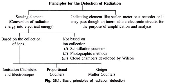 Forces on the Particle 