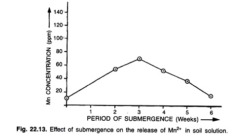 Morphological Characteristics of Grasses