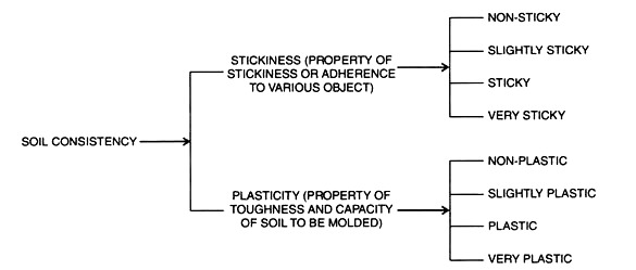 Relationship between Soil Constituents 