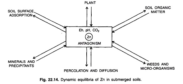 Soil Psychrometer